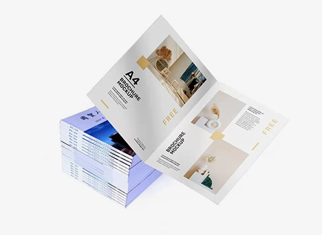 Professional Printed Materials